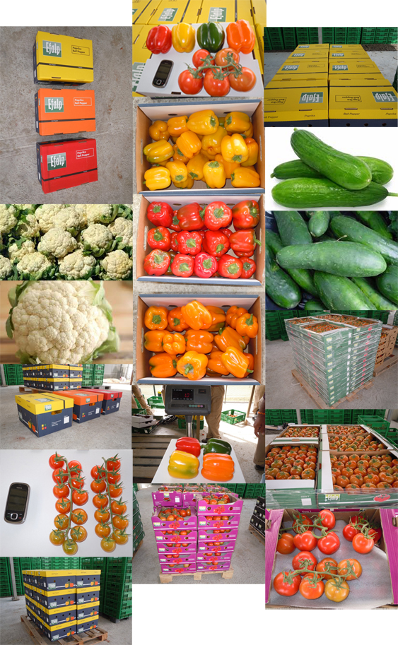 Global Produce Image