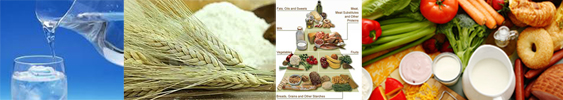Large group of foods